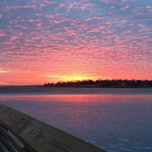 Meet your Posher, Dominick